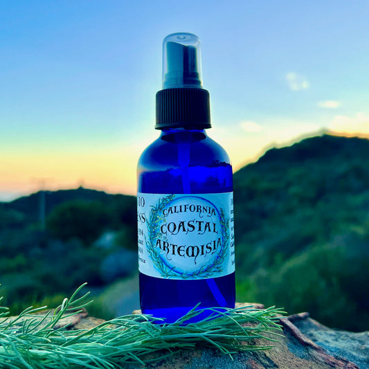 Unique Benefits of Hydrosols: White Sage, California Sagebrush, and Mugwort