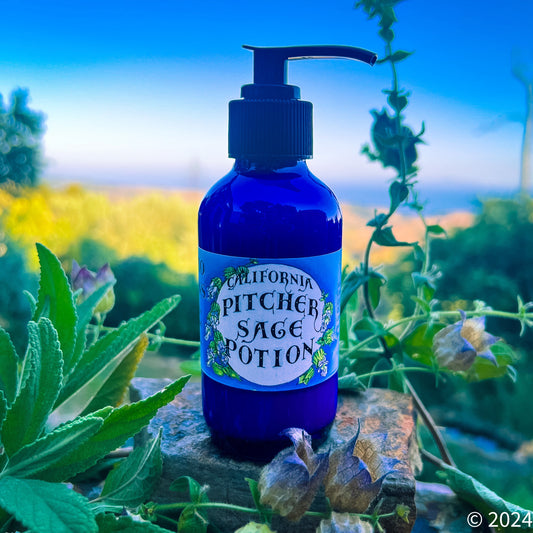 Photograph of Pitcher Sage Lotion in cobalt blue bottle on a rock with the sunset behind