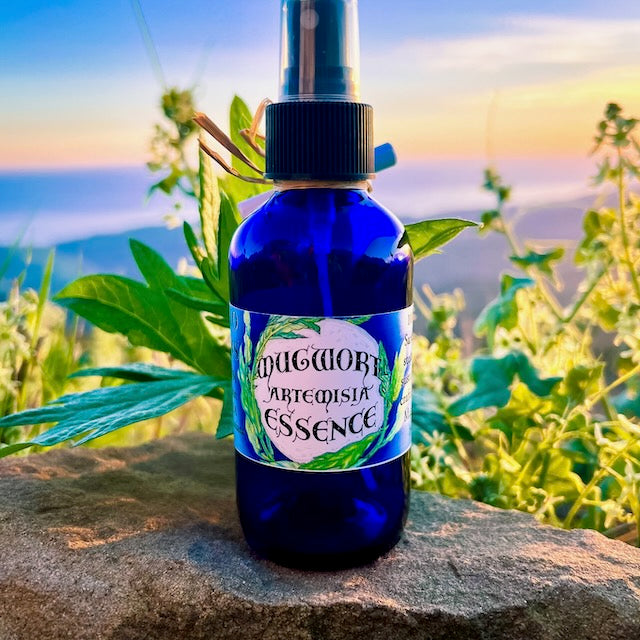 Photograph of Mugwort Artemisia Essence 4 ounce cobalt blue glass bottle filled with hydrosol with a mugwort leaf on a rock with the sunset, mountains and ocean in the background