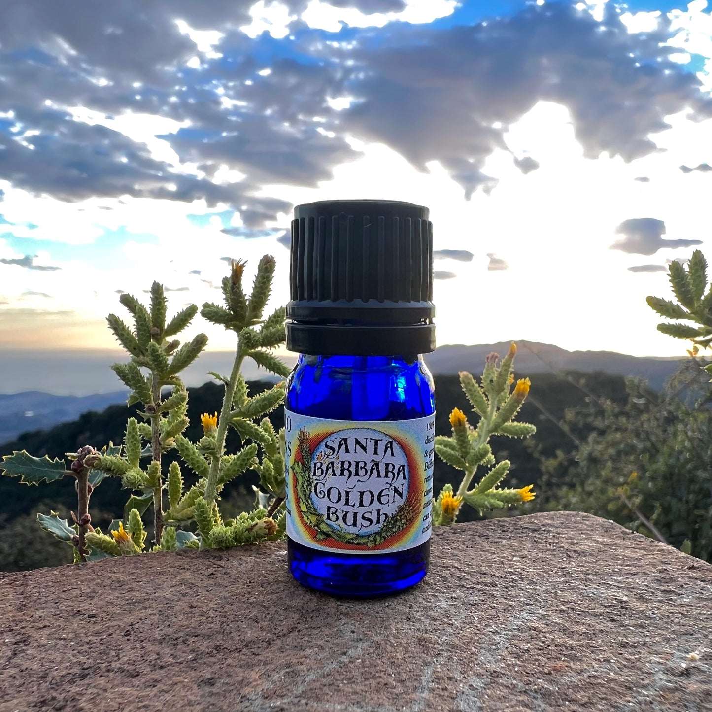 Photograph of Santa Barbara Goldenbush essential oil in a 5 ml bottle on a rock with a sunset and mountains in the background