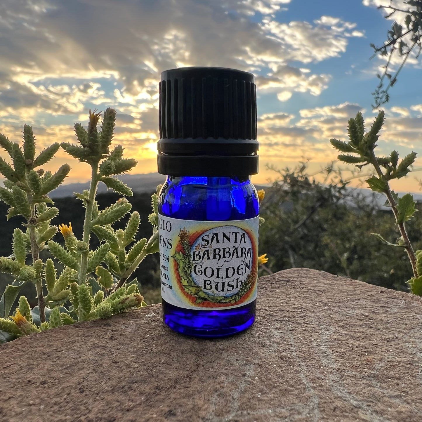 Photograph of Santa Barbara Goldenbush essential oil in a 5 ml bottle on a rock with a sunset and mountains in the background