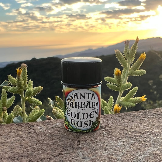 Photograph of Santa Barbara Goldenbush essential oil in a 5/8 dram bottle on a rock with a sunset and mountains in the background
