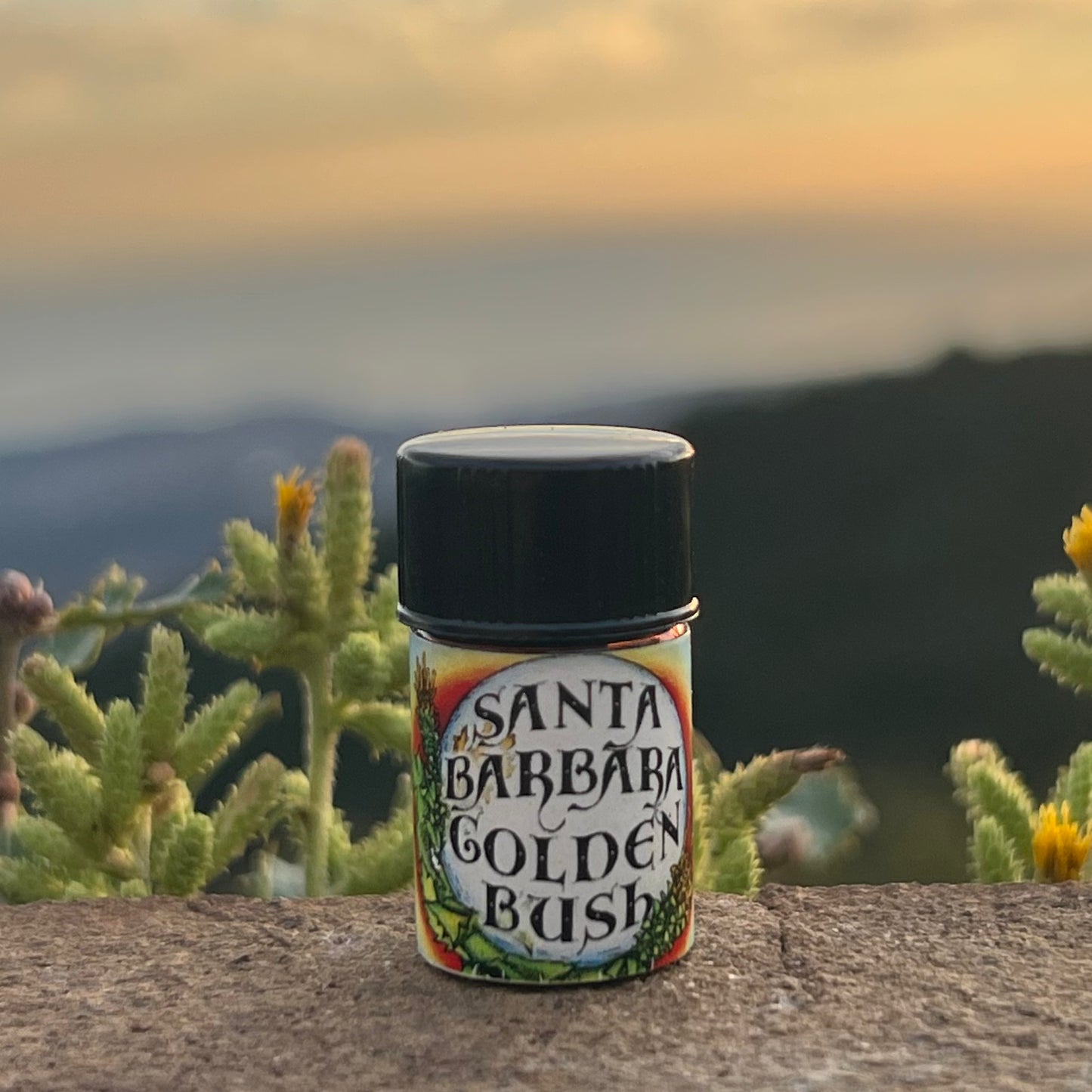 Photograph of Santa Barbara Goldenbush essential oil in a 5/8 dram bottle on a rock with a sunset and mountains in the background