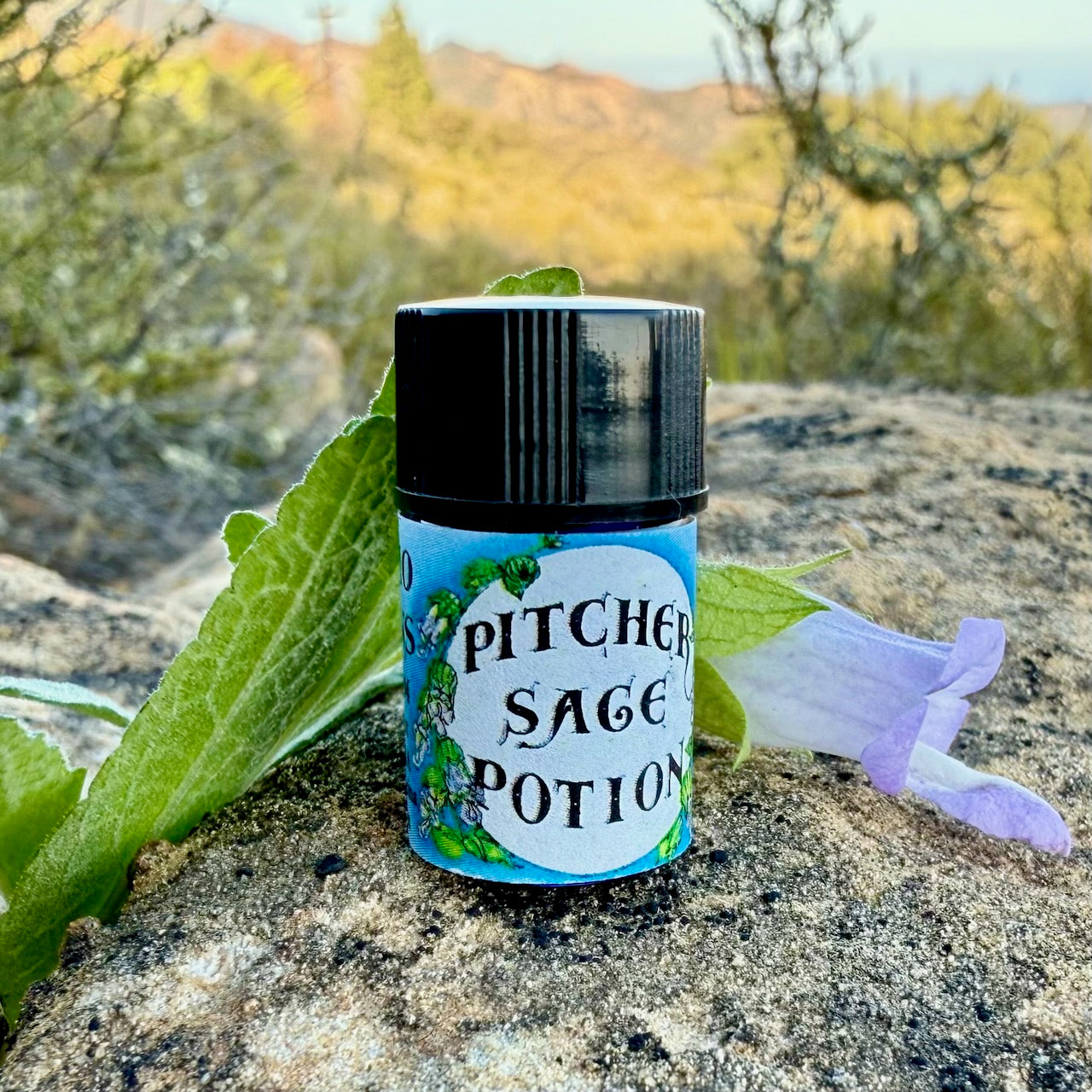 Pitcher Sage Essential Oil – Sustainably Wild Grown, Artisan-Distilled, Pure & Genuine (<em>Lepechinia calycina</em>)