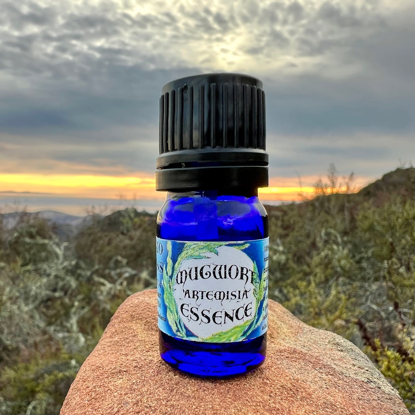 Mugwort essential oil in a 5 mL glass bottle in cobalt blue glass on a rock with a sunset