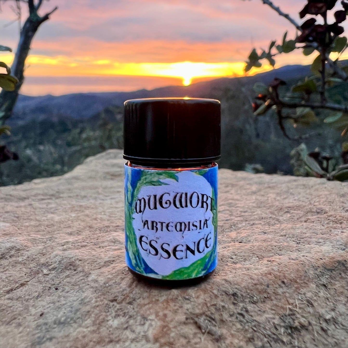 Mugwort essential oil in a 5/8th dram glass bottle in cobalt blue glass on a rock with a sunset