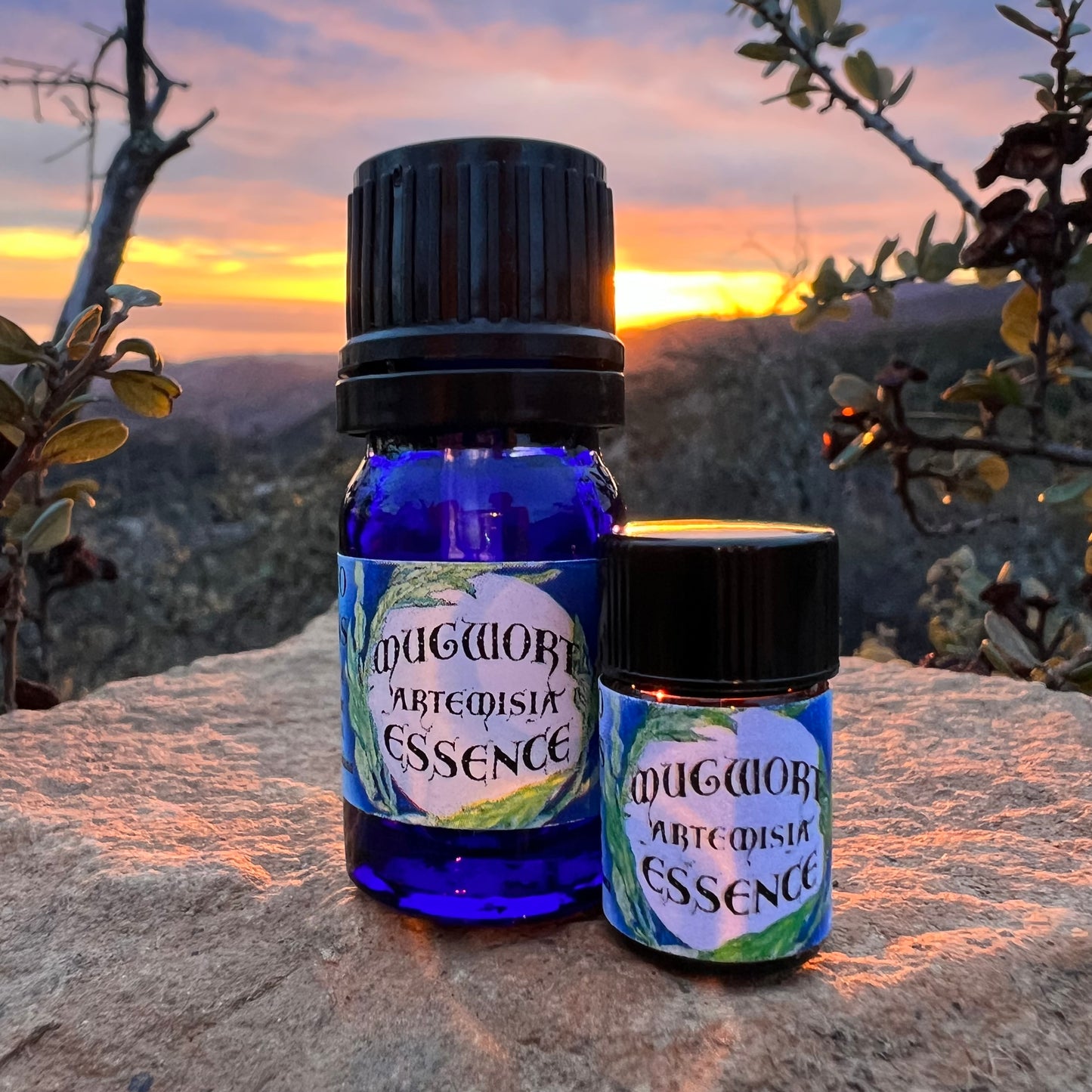 Mugwort essential oil bottles in cobalt blue glass on a rock with a sunset