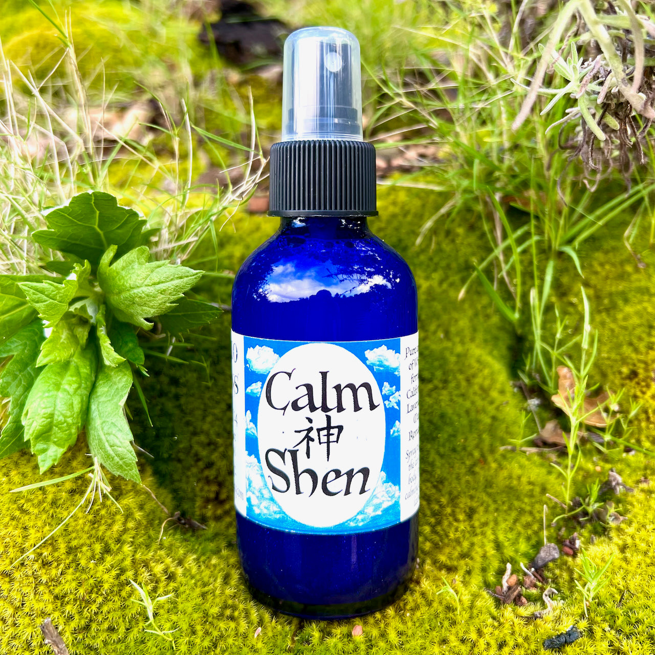 photograph of clam shen spray in cobalt blue bottle with on a patch of green moss