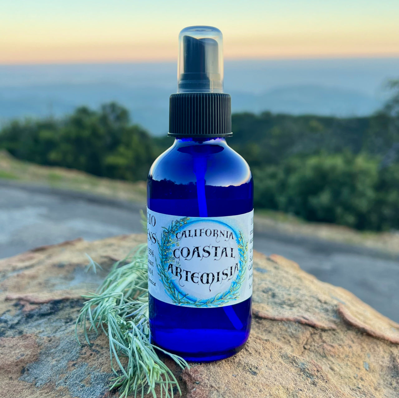 California Coastal Artemisia Hydrosol Bottle in 4 oz cobalt blue glass with sagebrush plant in background