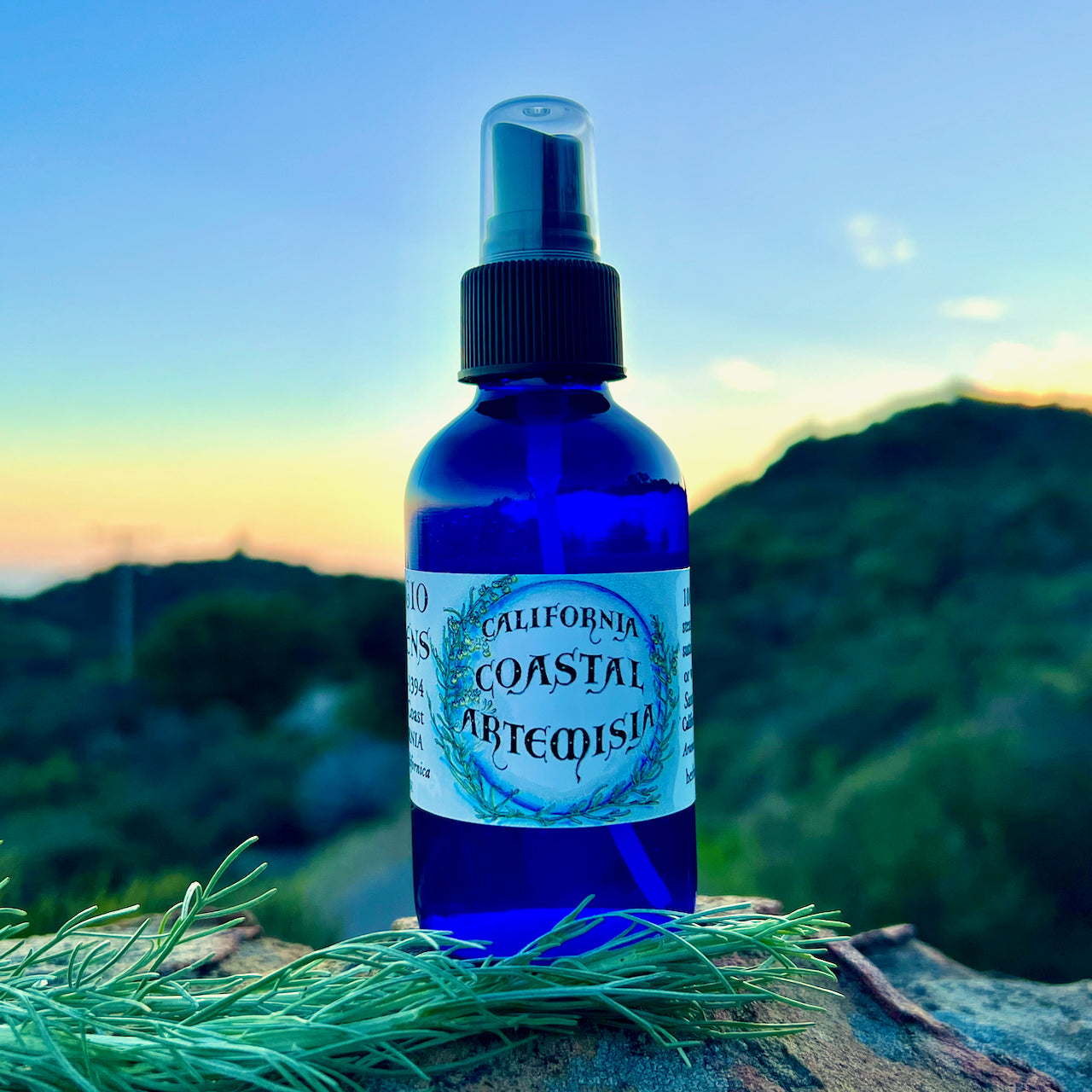 California Coastal Artemisia Hydrosol Bottle in 4 oz cobalt blue glass with sagebrush plant in background