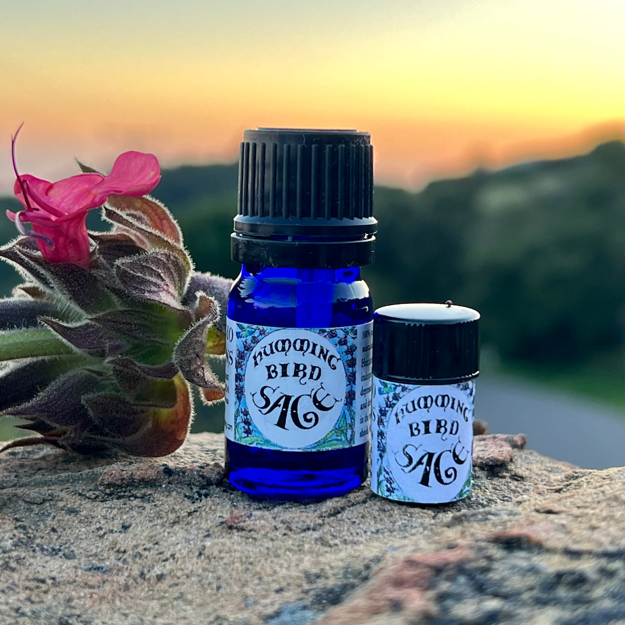 Photograph of Hummingbird Sage Essential oil in 5 ml and 2.3 ml size cobalt blue glass bottles on a rock with Hummingbird Sage flower