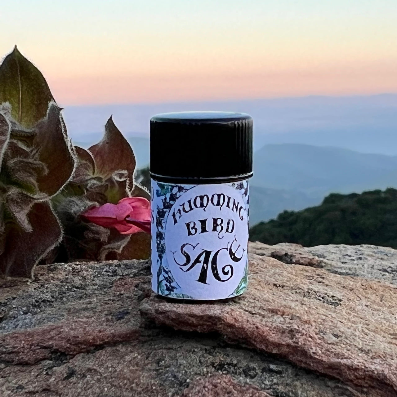 Photograph of Hummingbird Sage Essential oil in 2.3 ml cobalt blue glass bottle on a rock with Hummingbird Sage flower
