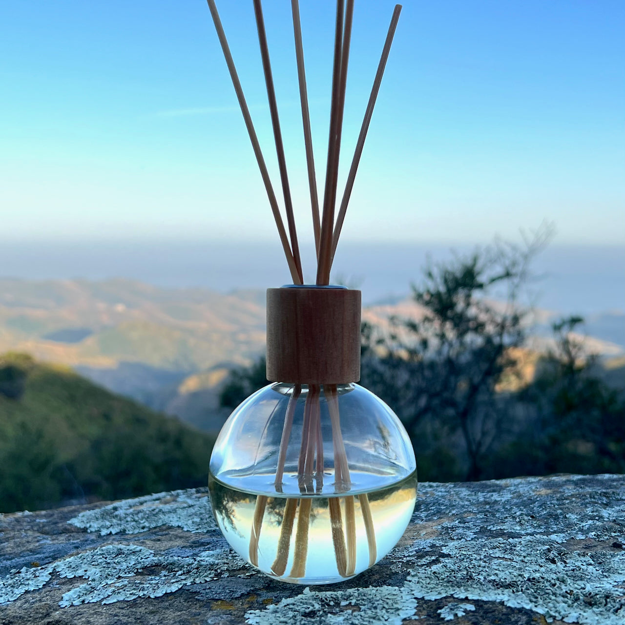 Coastal Sage Essential Oil Reed Diffuser