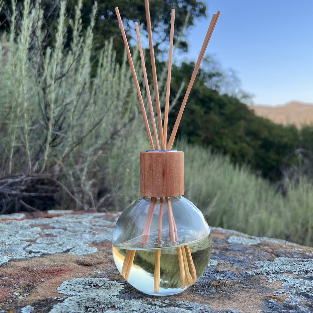 Coastal Sage Essential Oil Reed Diffuser
