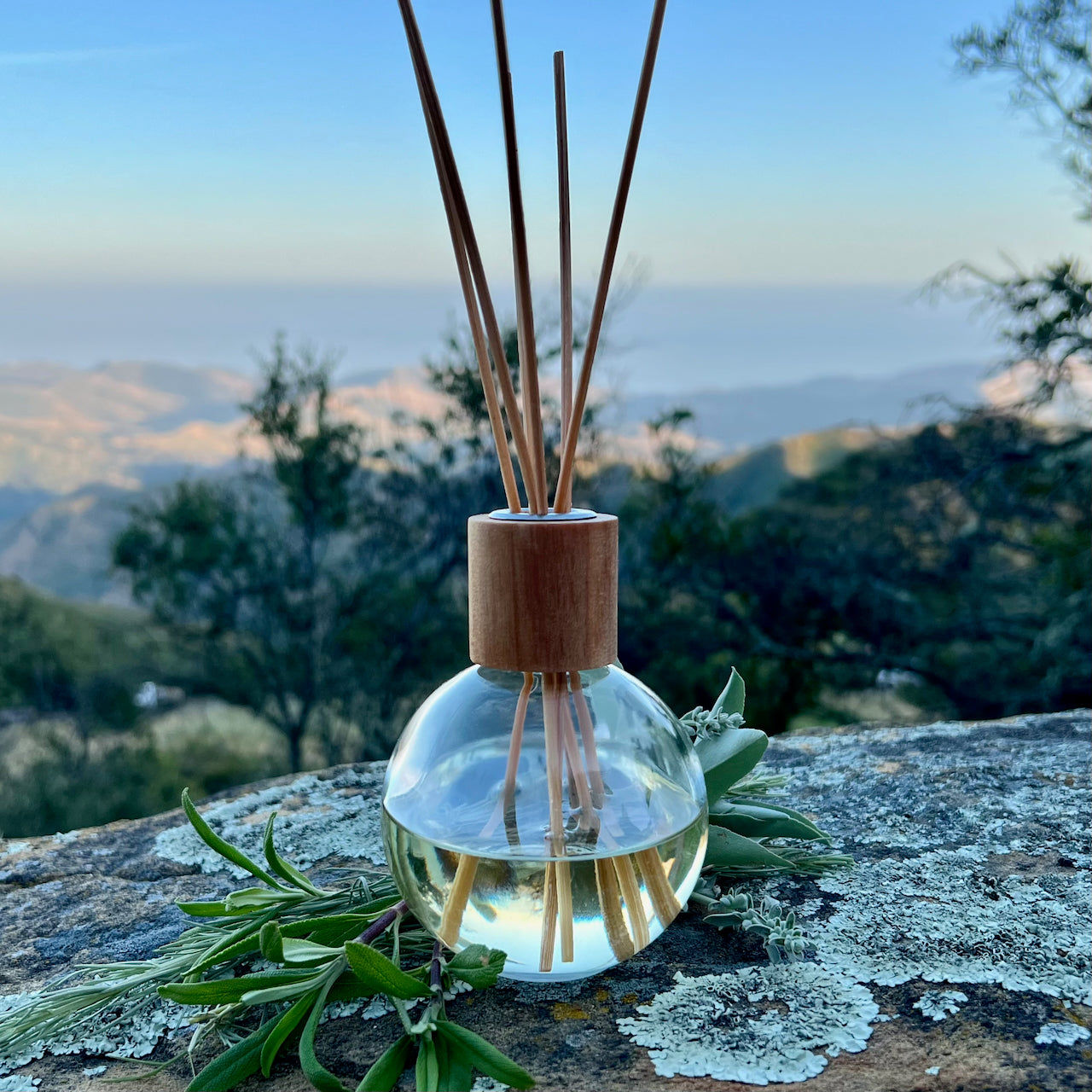 Coastal Sage Essential Oil Reed Diffuser