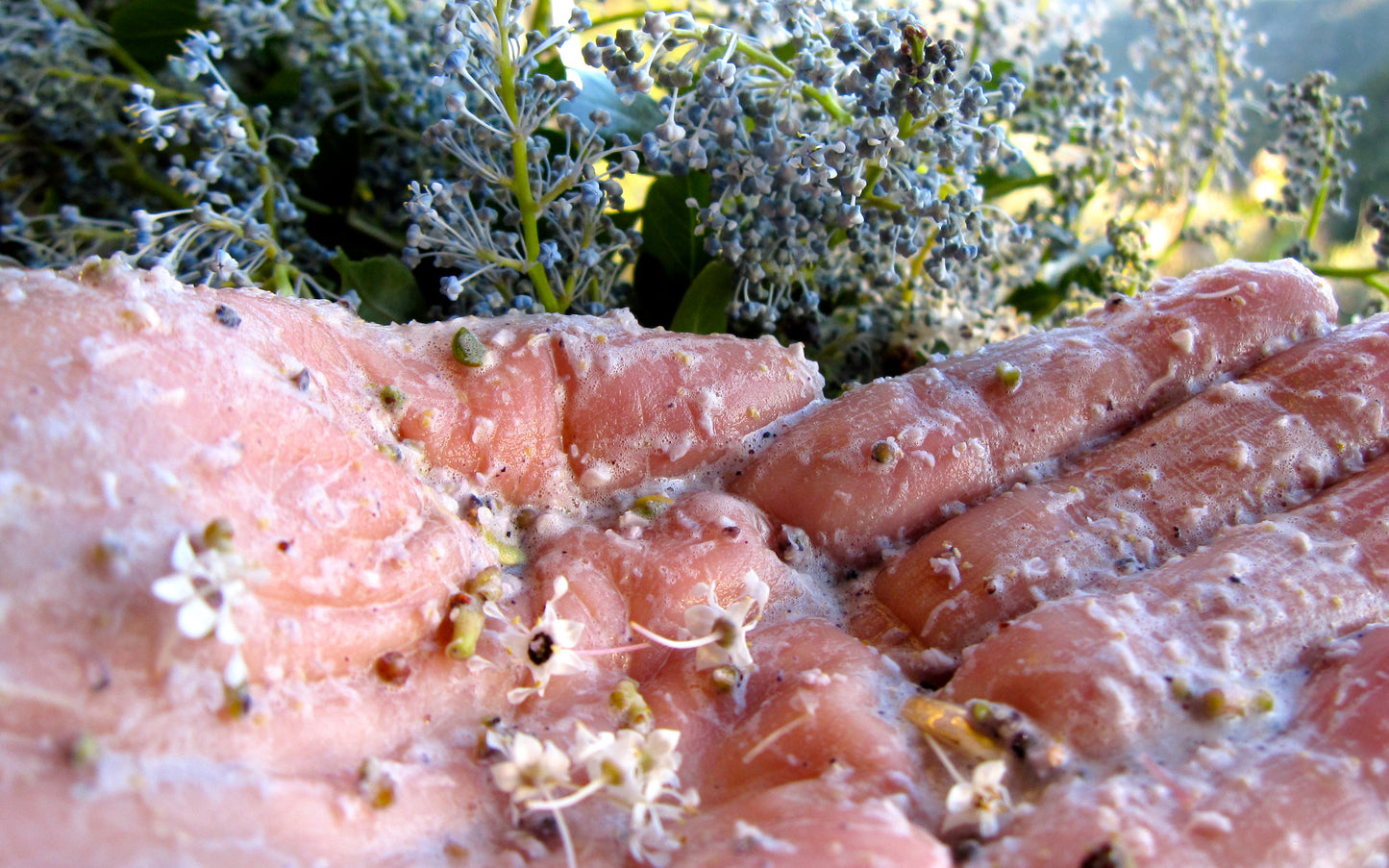 Ceanothus Flower Soap Scrub