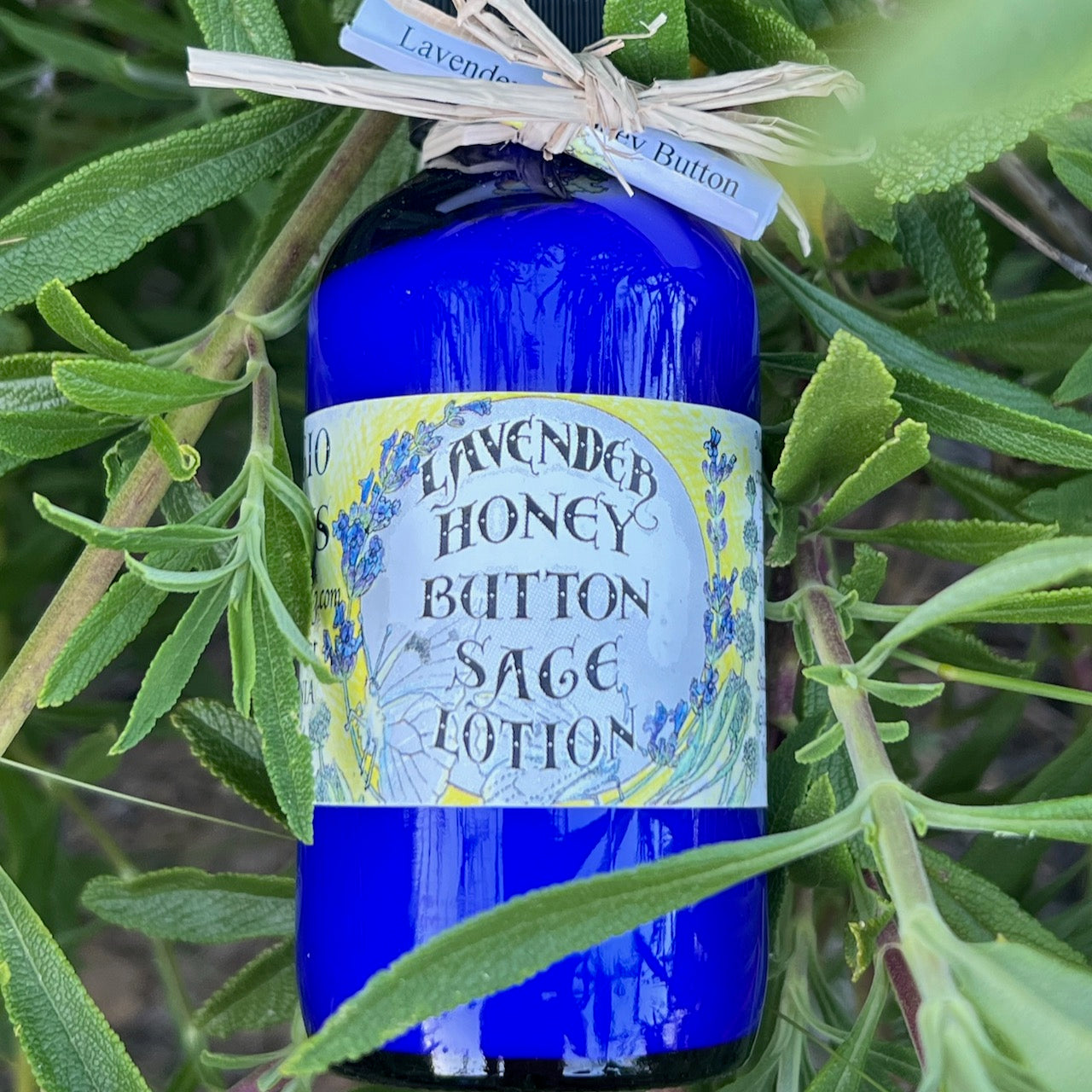 Photo of lavender honey button sage lotion bottle