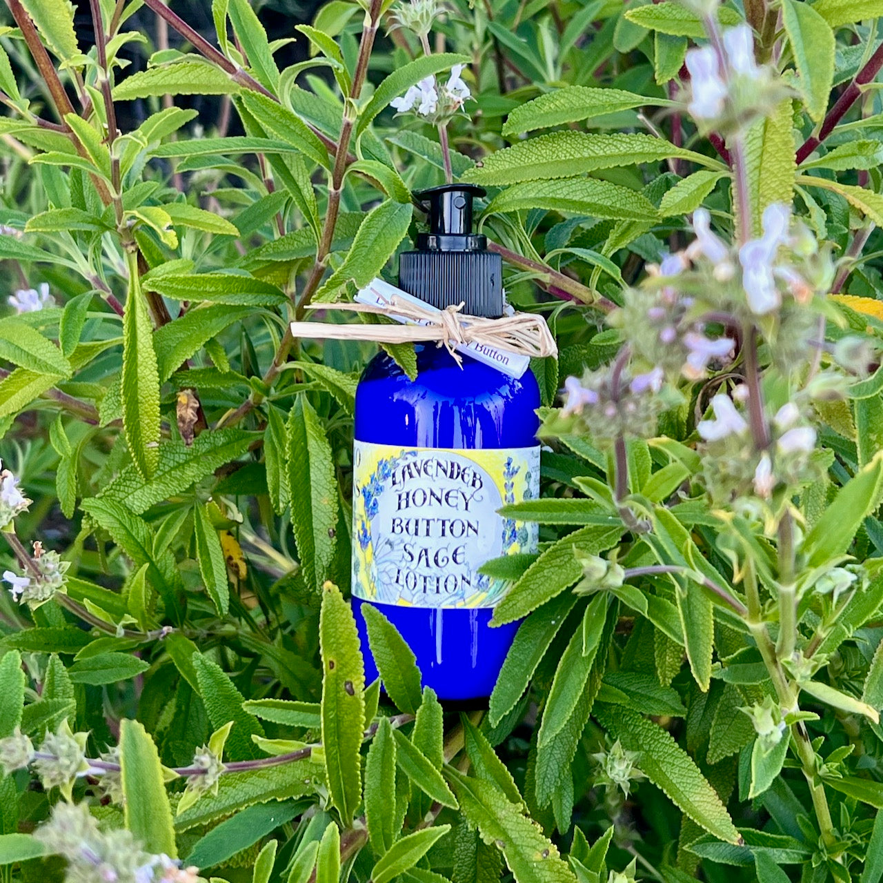 Photo of lavender honey button sage lotion bottle