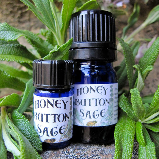 Photograph of Honey Button Sage cobalt blue 5 ml and 5/8 dram bottles