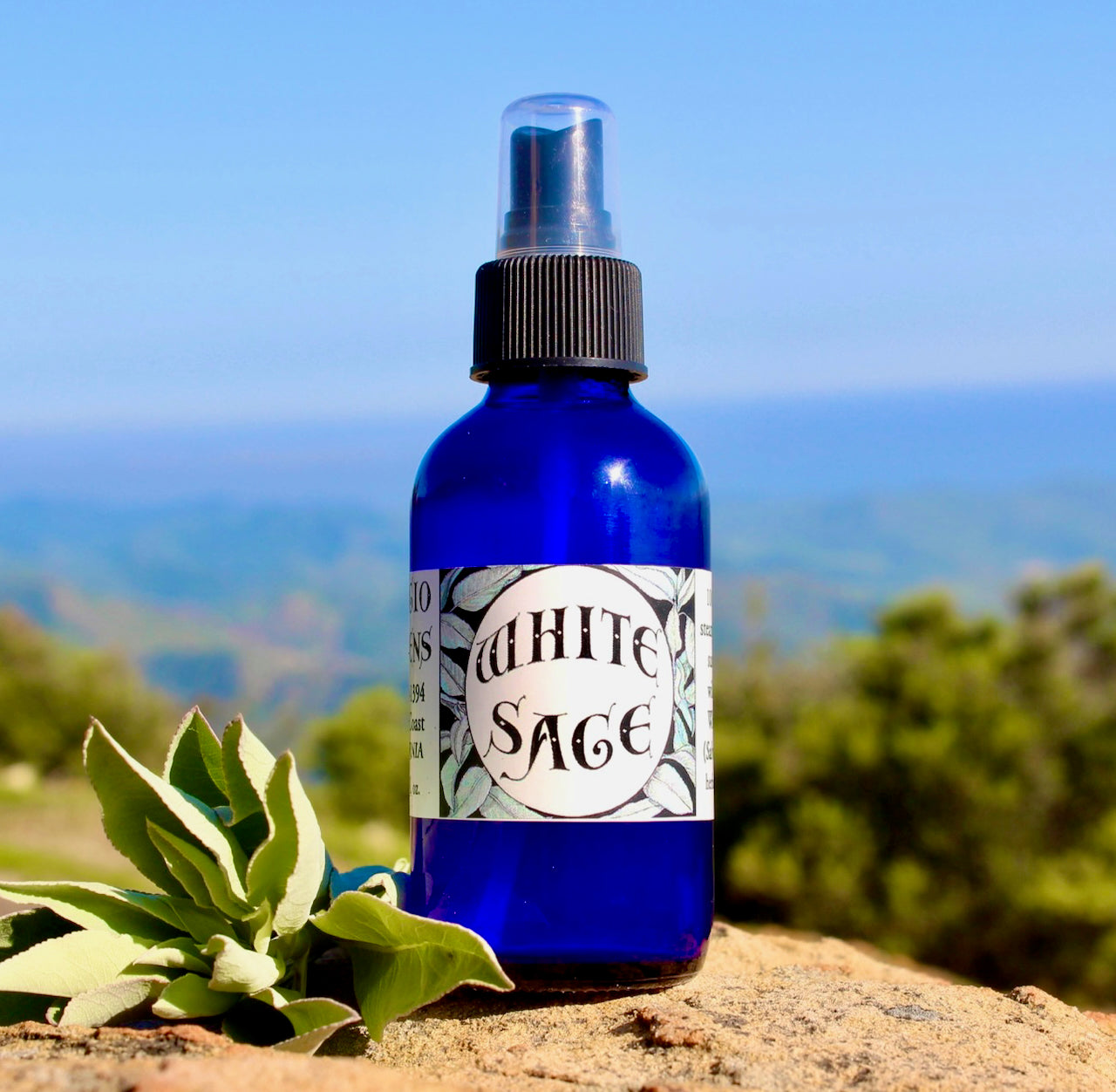 Photograph of a 4 oz cobalt blue glass spray bottle filled with White Sage hydrosol on rock withwhite sage leaves