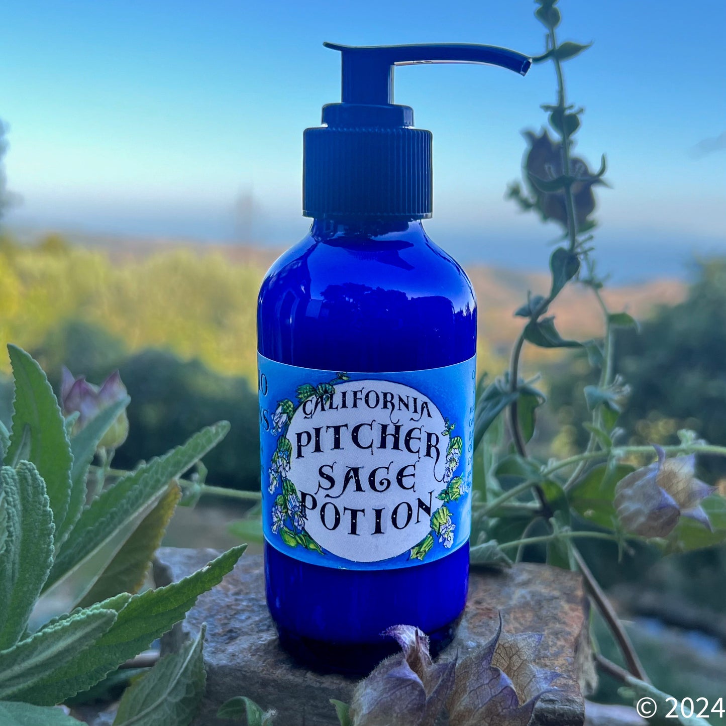 Photograph of Pitcher Sage Lotion in cobalt blue bottle on a rock with the sunset behind