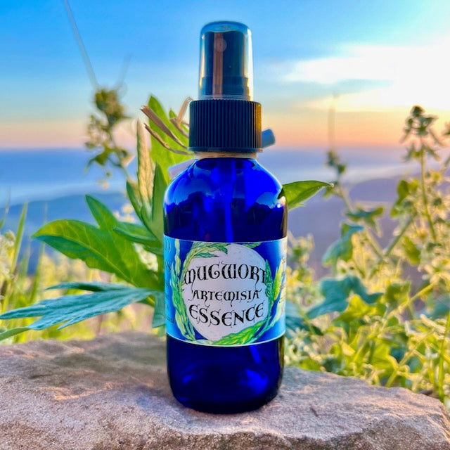 Photograph of Mugwort Artemisia Essence 4 ounce cobalt blue glass bottle filled with hydrosol with a mugwort leaf  on a rock with the sunset, mountains and ocean in the background