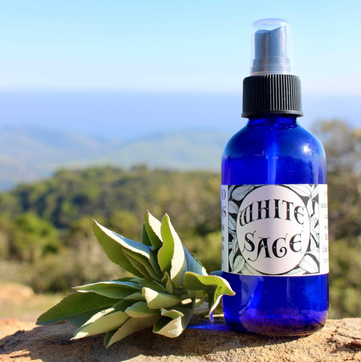 Photograph of a 4 oz cobalt blue glass spray bottle filled with White Sage hydrosol on rock with white sage leaves