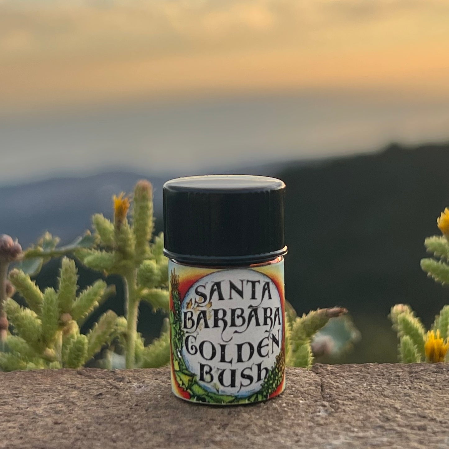 Santa Barbara Goldenbush Wildcrafted Artisan Pure and Genuine Essential Oil (Hazardia squarrosa)