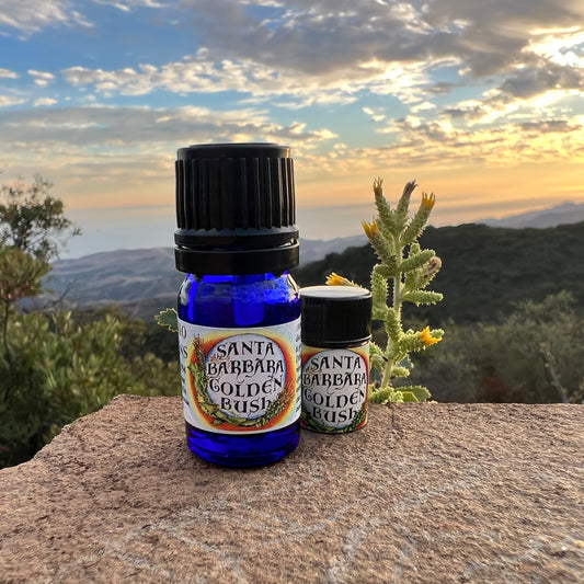Photograph of Santa Barbara Goldenbush essential oil in a 5 ml and a 5/8 dram bottle on a rock with a sunset and mountains in the background