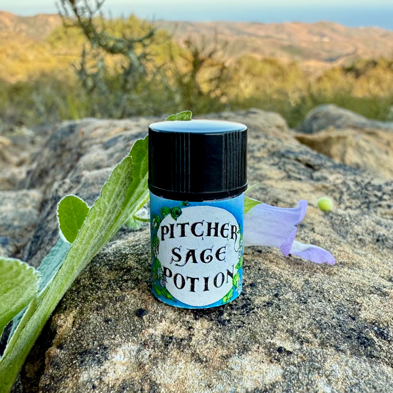 Pitcher Sage Essential Oil – Sustainably Wild Grown, Artisan-Distilled, Pure & Genuine (<em>Lepechinia calycina</em>)