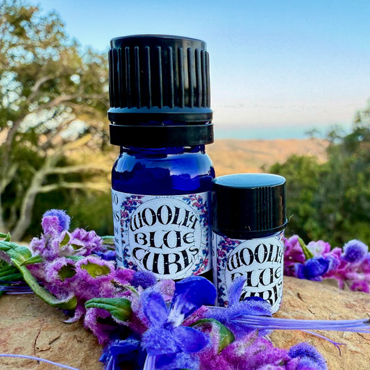Woolly Blue Curls Essential Oil – Sustainably Wild Grown, Artisan-Distilled, Pure & Genuine (<em>Trichostema lanatum</em>)