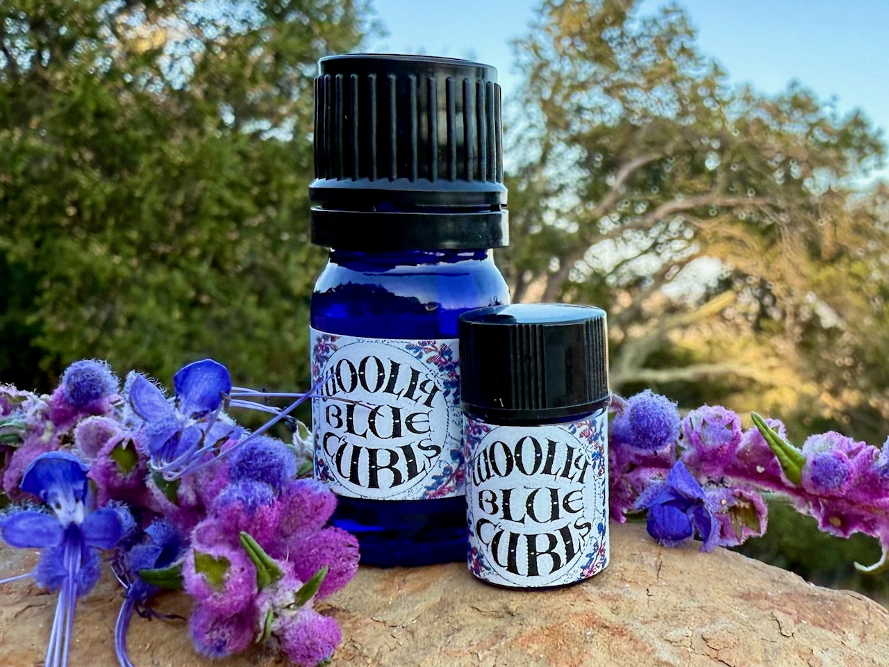 Woolly Blue Curls Essential Oil – Sustainably Wild Grown, Artisan-Distilled, Pure & Genuine (<em>Trichostema lanatum</em>)