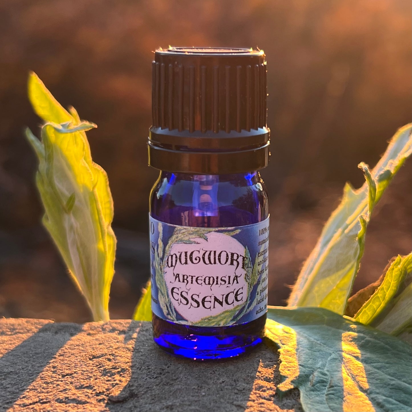 California Mugwort Essential Oil (Pure and Genuine Sustainably Wildcrafted Native Plant Oil, Artemisia douglasiana)