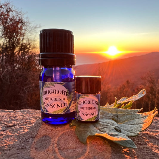 Mugwort essential oil bottles in cobalt blue glass on a rock with a sunset 