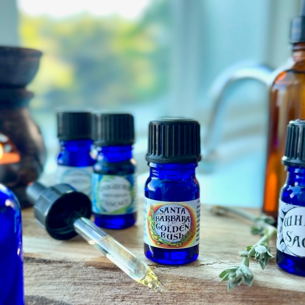 Goldenbush Essential Oil – Sustainably Wild Grown, Artisan-Distilled, Pure & Genuine (<em>Hazardia squarrosa</em>)
