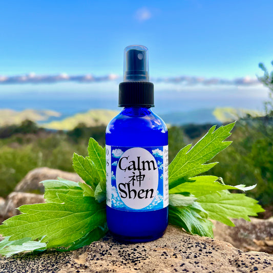 photograph of clam shen spray in cobalt blue bottle with mugwort leaves on a rock with an ocean view in the back