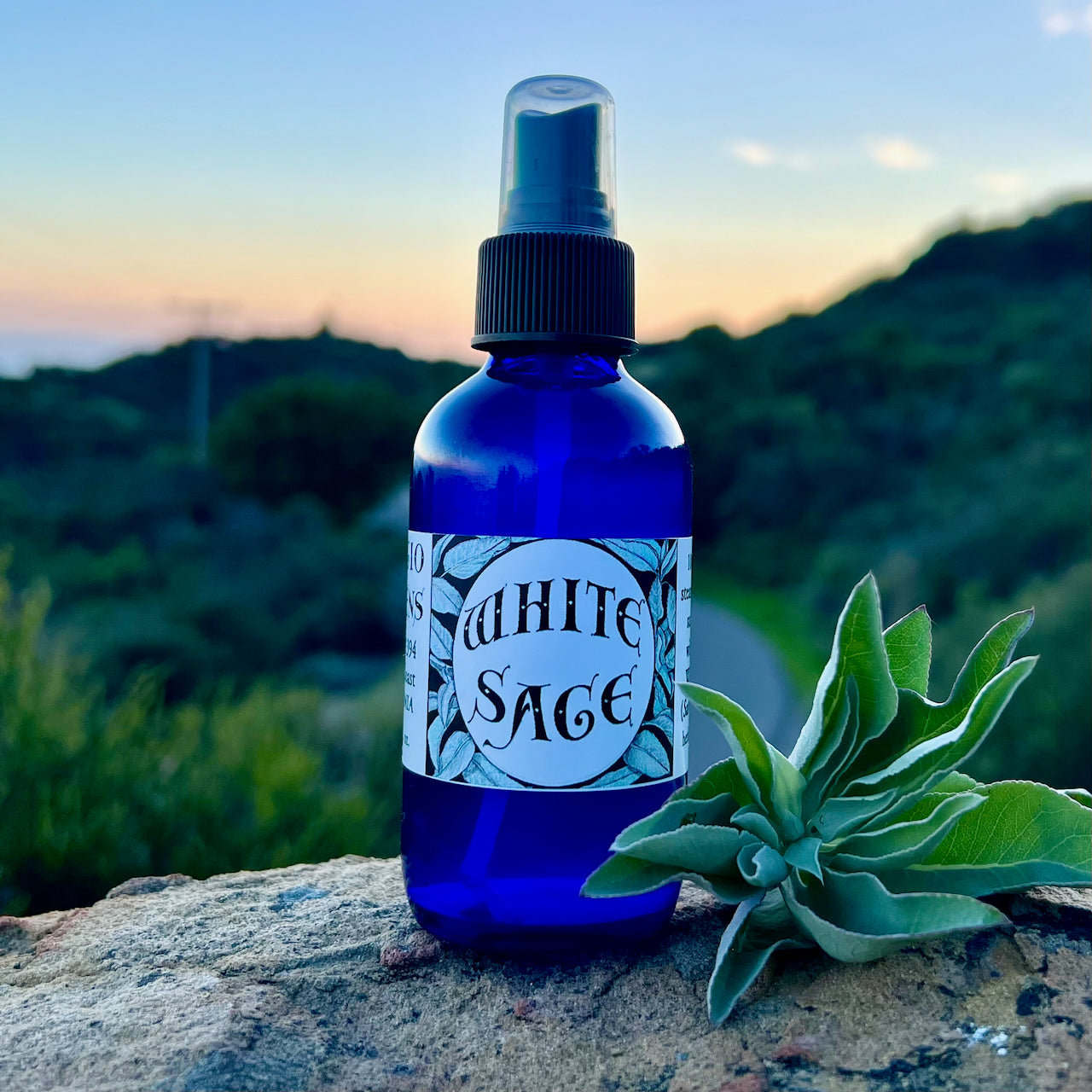 Photograph of a 4 oz cobalt blue glass spray bottle filled with White Sage hydrosol on rock with white sage leaves