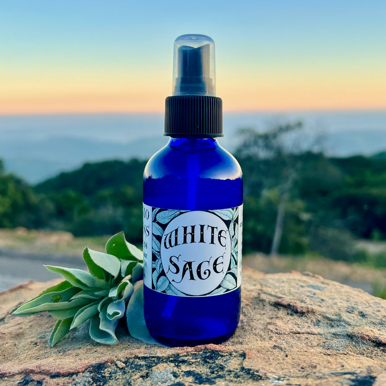 Photograph of a 4 oz cobalt blue glass spray bottle filled with White Sage hydrosol on rock with white sage leaves