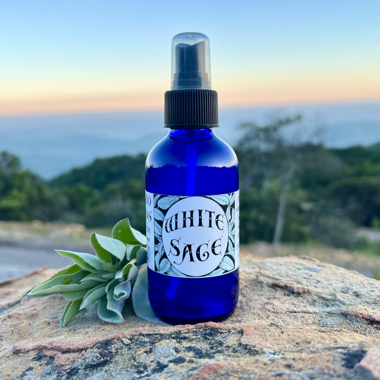 Photograph of a 4 oz cobalt blue glass spray bottle filled with White Sage hydrosol on rock with white sage leaves