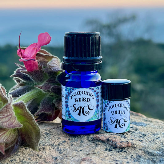 Photograph of Hummingbird Sage Essential oil in 5 ml and 2.3 ml size cobalt blue glass bottles on a rock with Hummingbird Sage flower