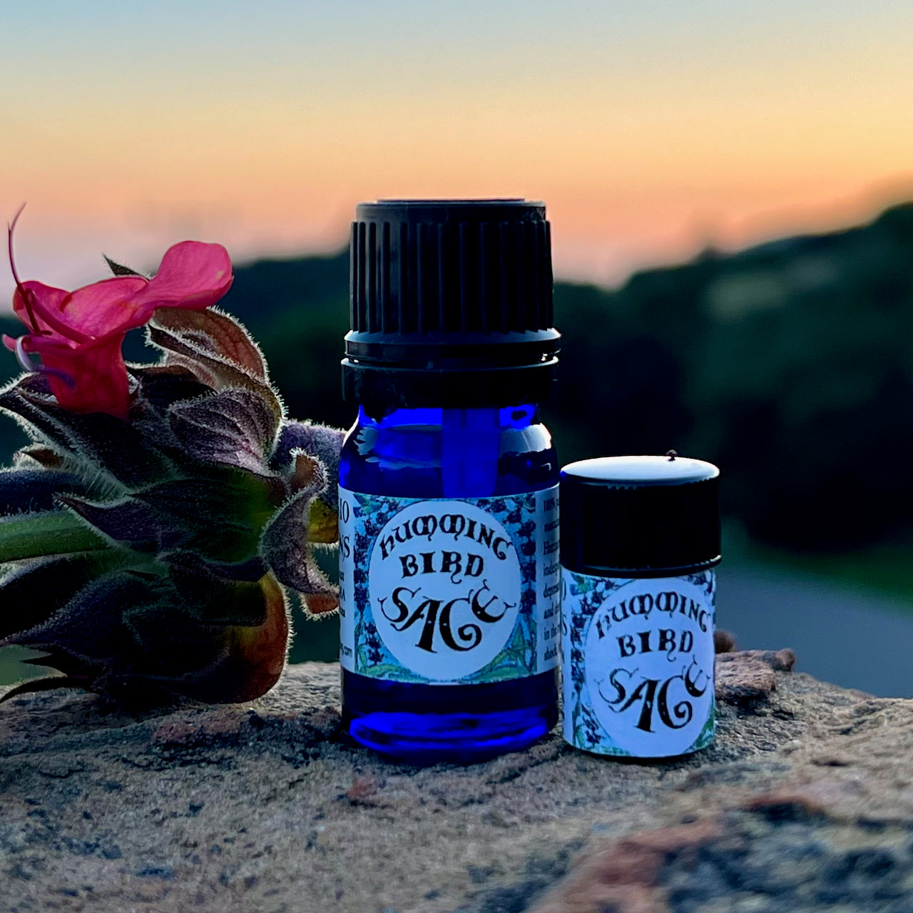 Photograph of Hummingbird Sage Essential oil in 5 ml and 2.3 ml size cobalt blue glass bottles on a rock with Hummingbird Sage flower