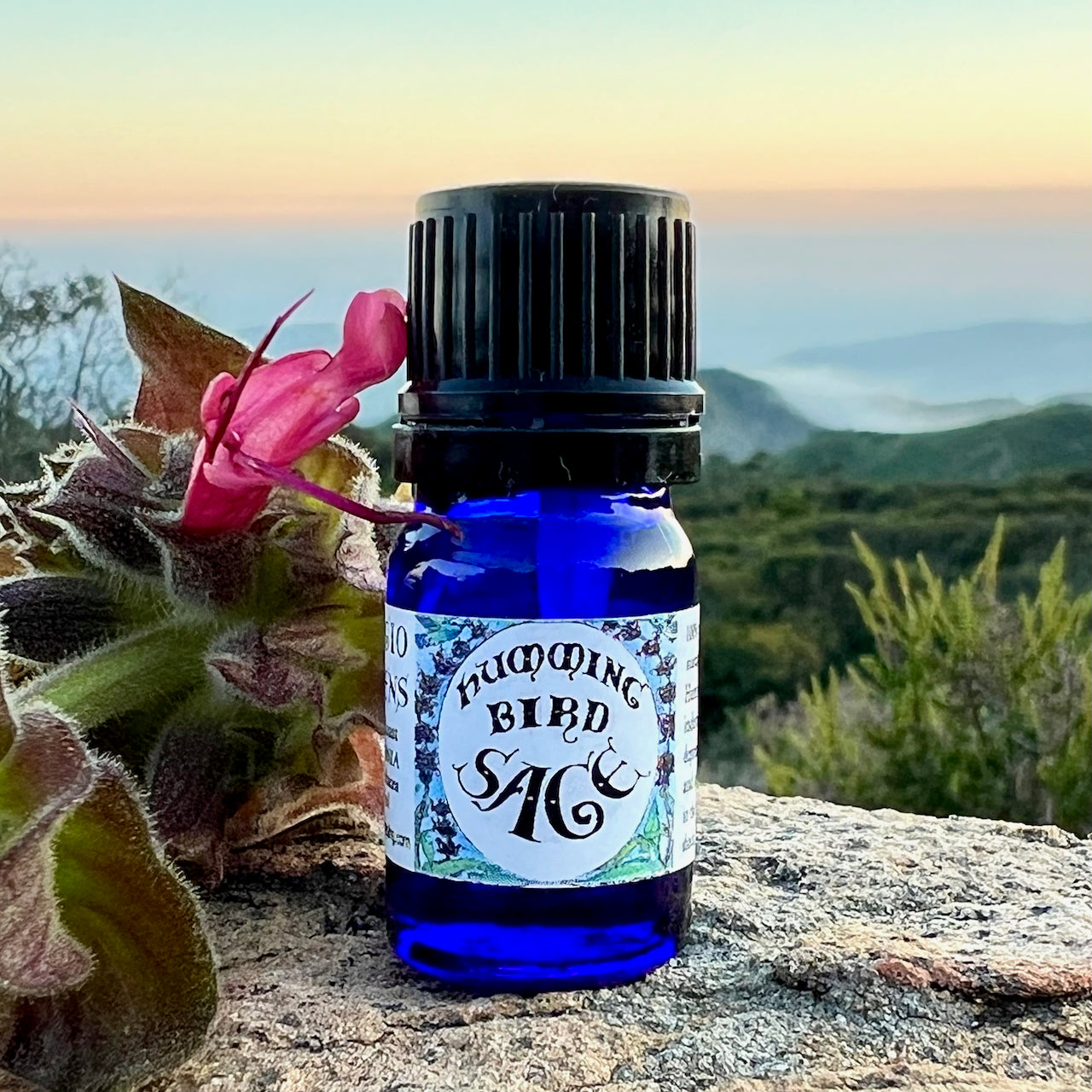 Photograph of Hummingbird Sage Essential oil in 5 ml cobalt blue glass bottle on a rock with Hummingbird Sage flower