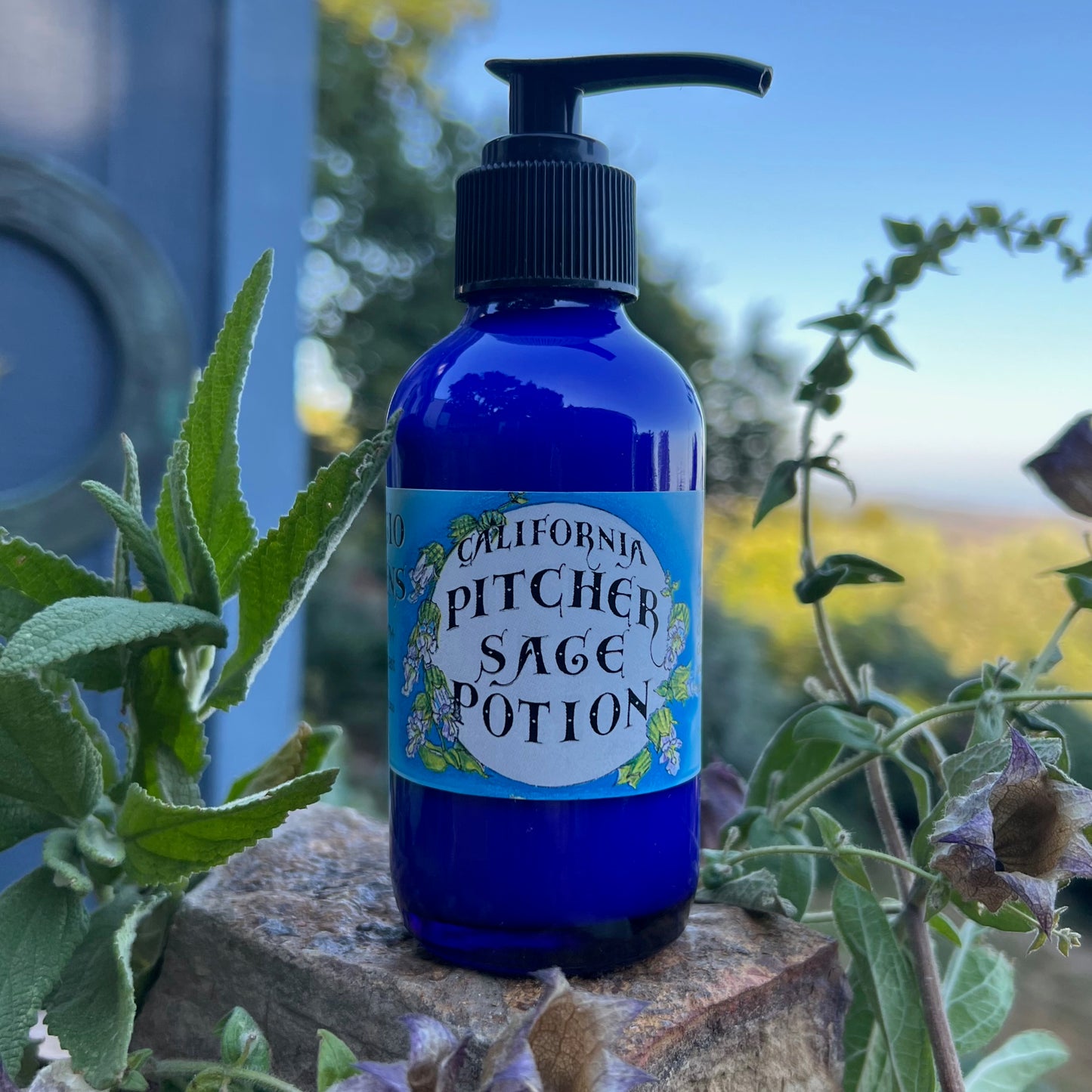 Photograph of Pitcher Sage Lotion in cobalt blue bottle on a rock with the sunset behind