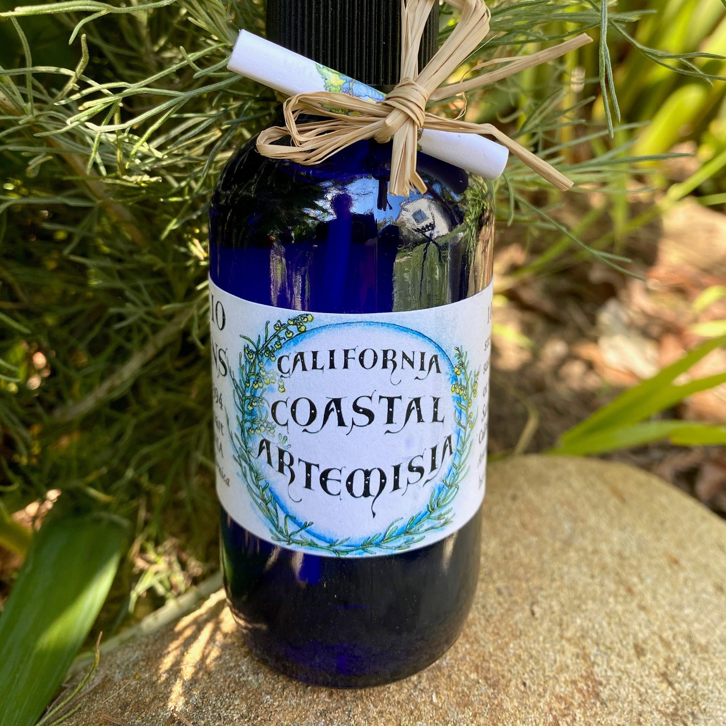 California Coastal Artemisia Hydrosol Bottle in 4 oz cobalt blue glass with sagebrush plant in background