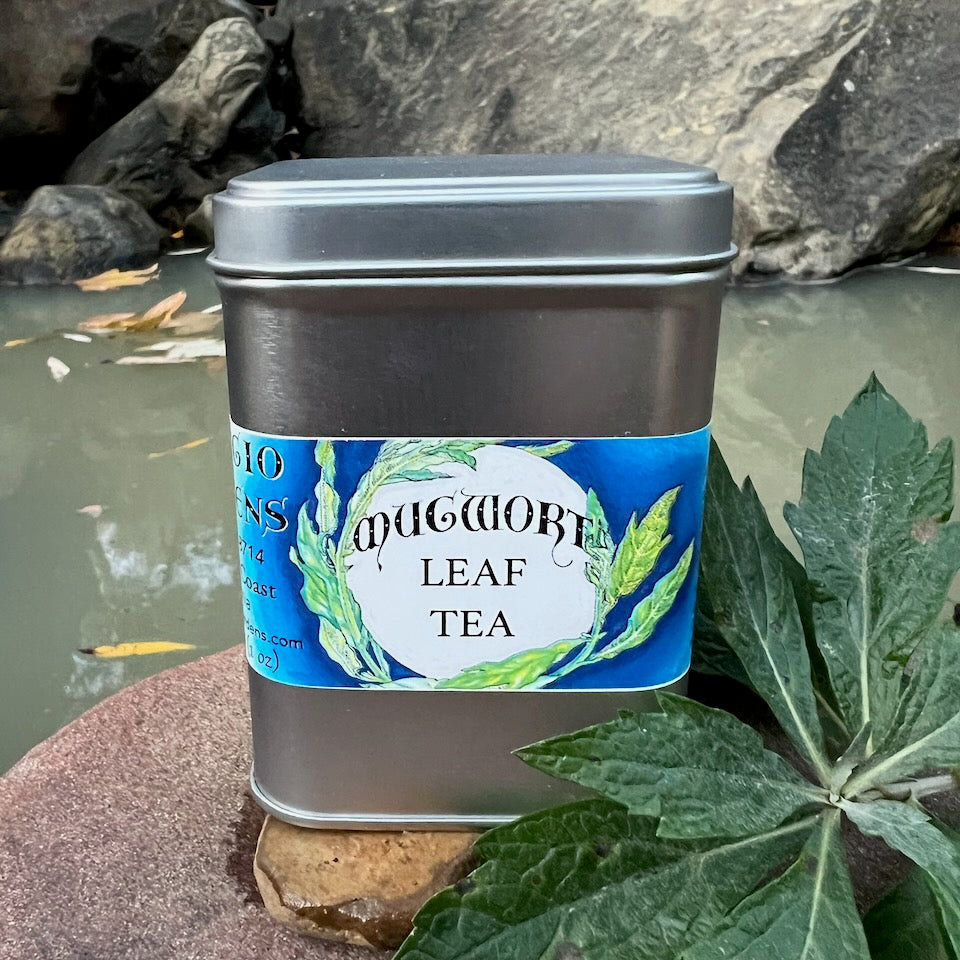 A photograph of a tea tin can with mugwort leaf on a rock in a creek