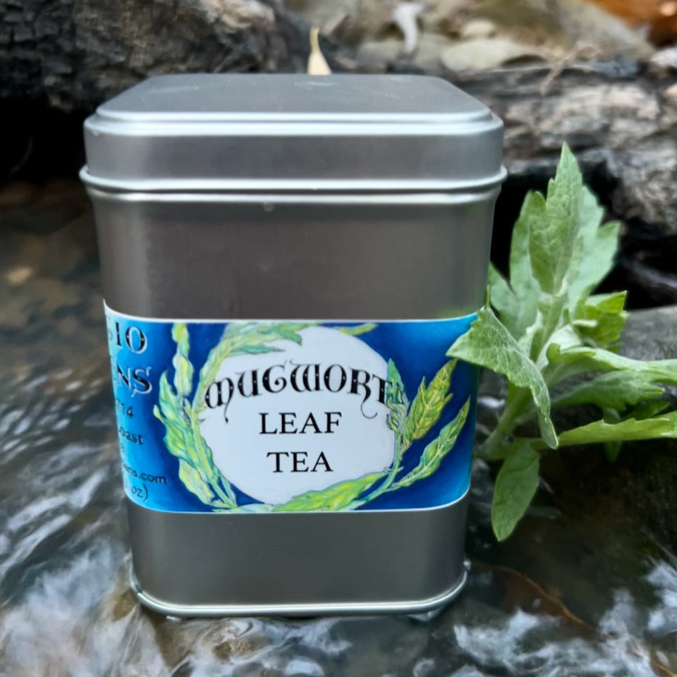 A photograph of a tea tin can with mugwort leaf on a rock with a creek in the background