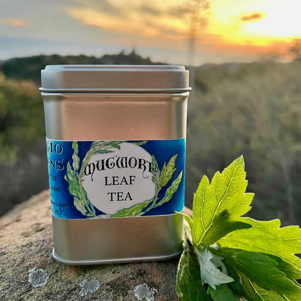 A photograph of a tea tin can with mugwort leaf on a rock with 