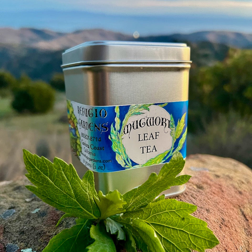 A photograph of a tea tin can with mugwort leaf on a rock with refugio gardens in background