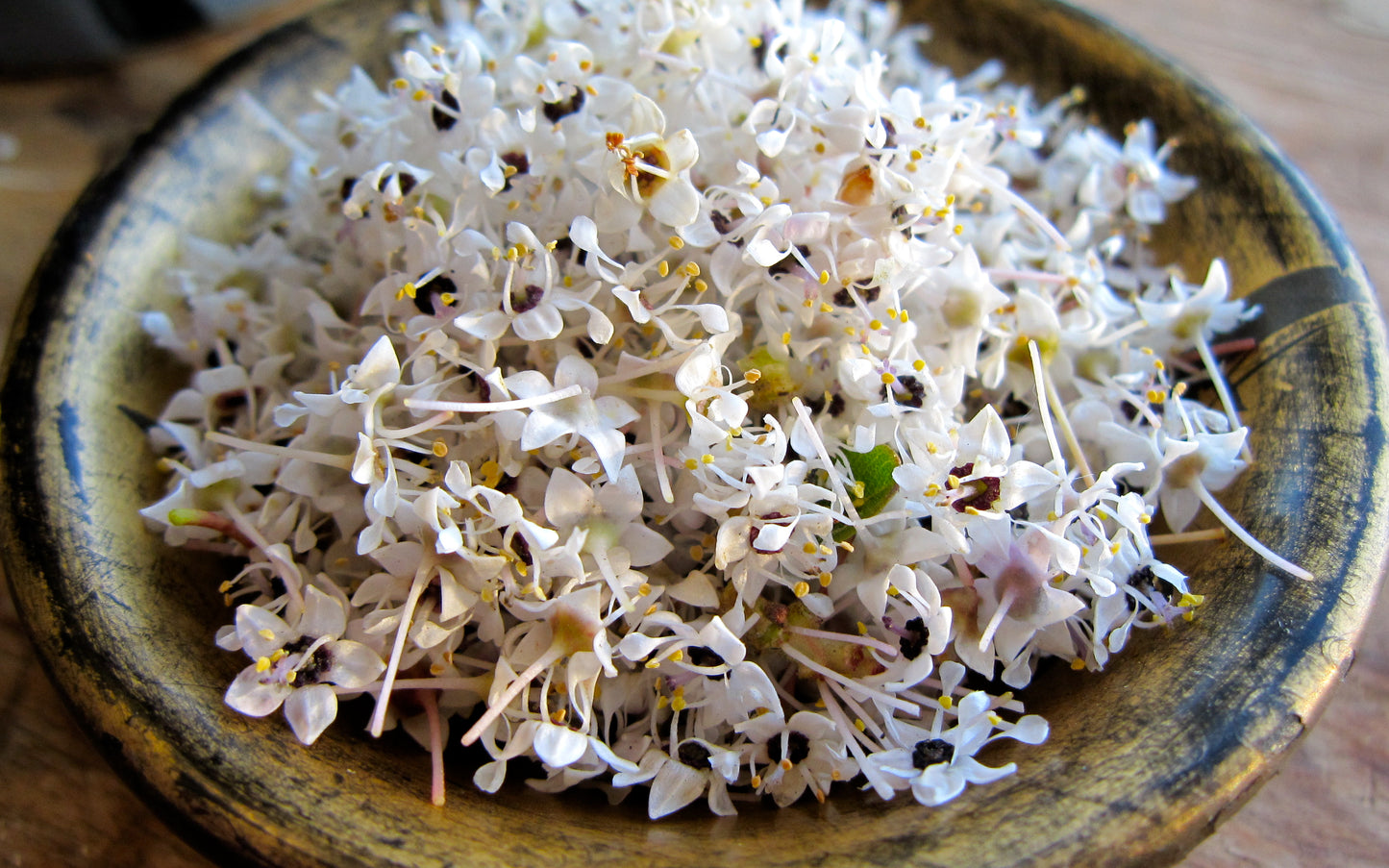 Ceanothus Flower Soap Scrub