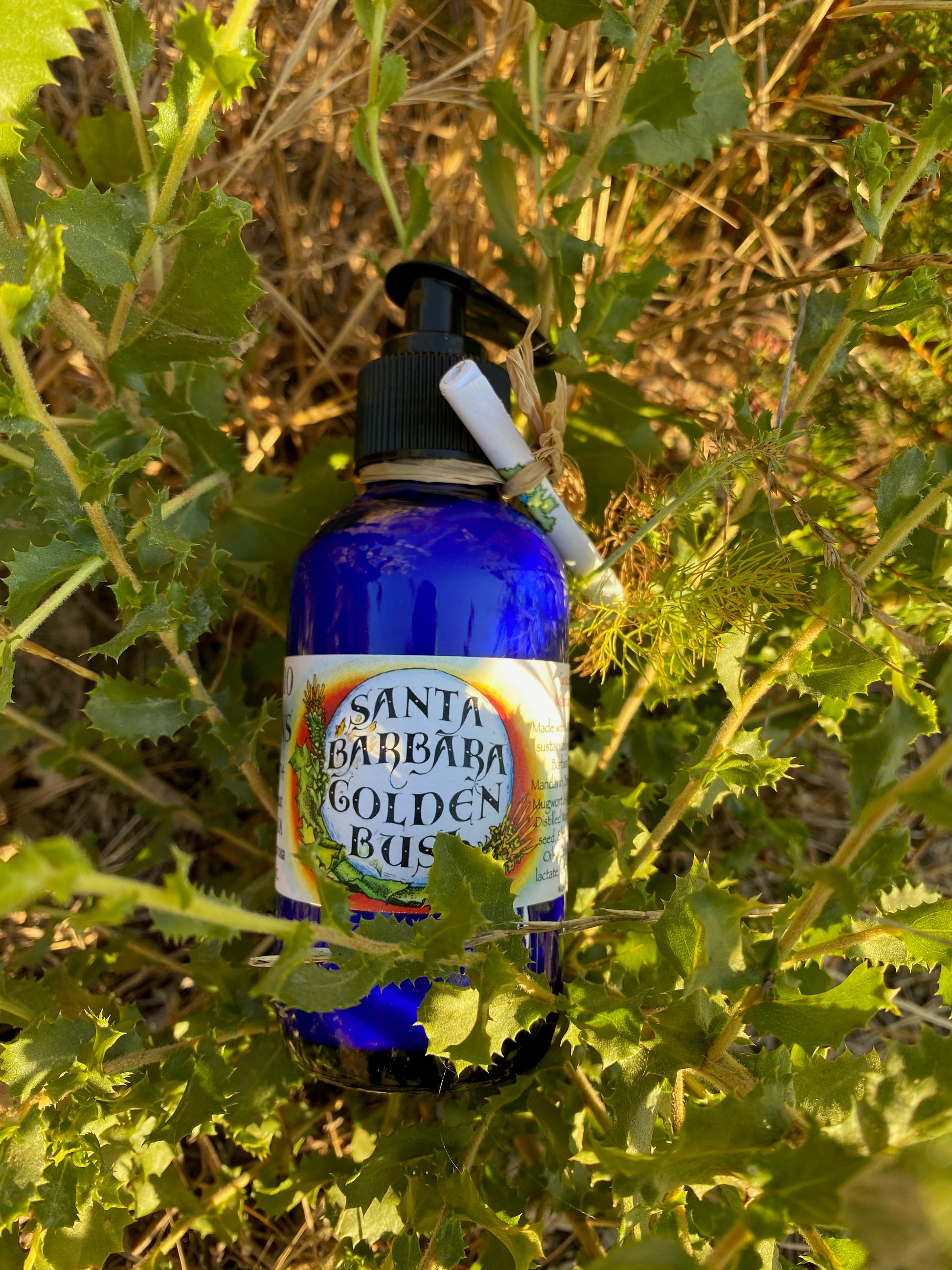 Photograph of a Santa Barbara Goldenbush Lotion in a 4 oz cobalt blue lotion bottle with goldenbush leaves